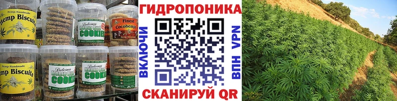 мега онион  Дмитриев  Печенье с ТГК конопля  закладка 