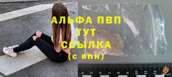 СК Алзамай