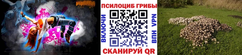 ОМГ ОМГ онион  Дмитриев  Псилоцибиновые грибы Psilocybe 